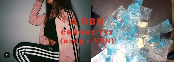 винт Елизово
