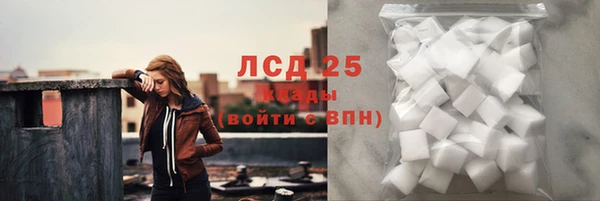 винт Елизово