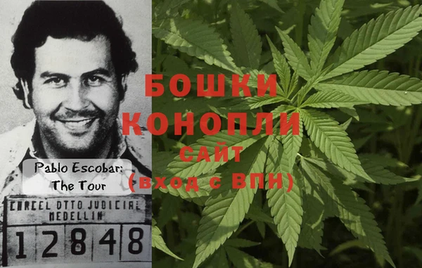 стаф Елабуга