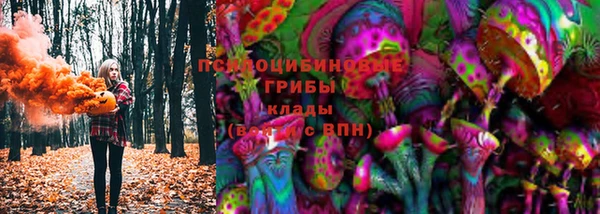 винт Елизово
