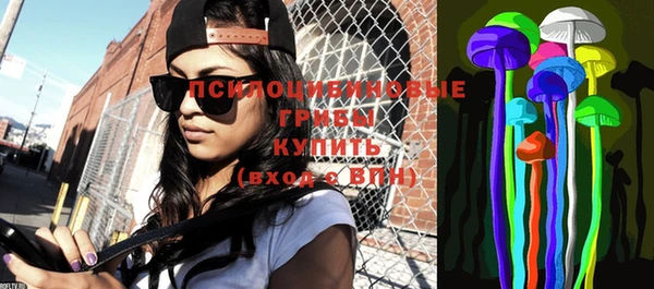 винт Елизово