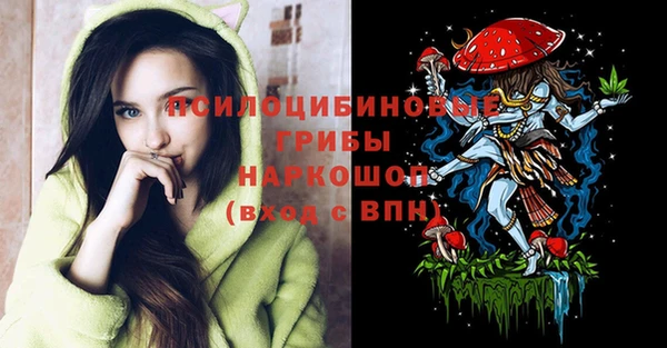 стаф Елабуга