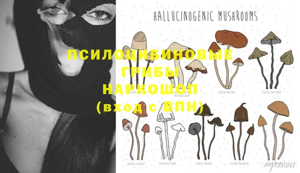 стаф Елабуга