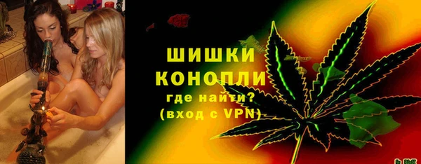 стаф Елабуга