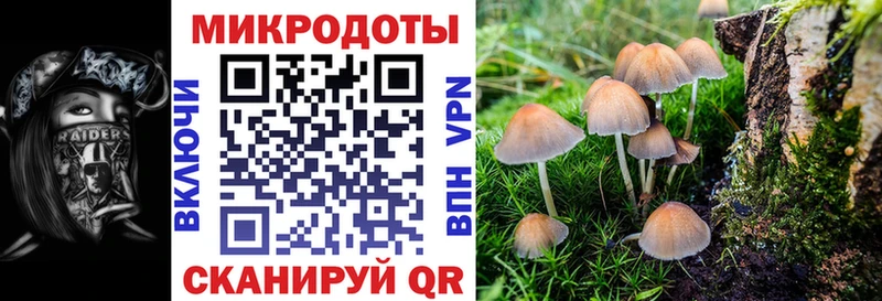 Псилоцибиновые грибы прущие грибы  Купить где  Горбатов 
